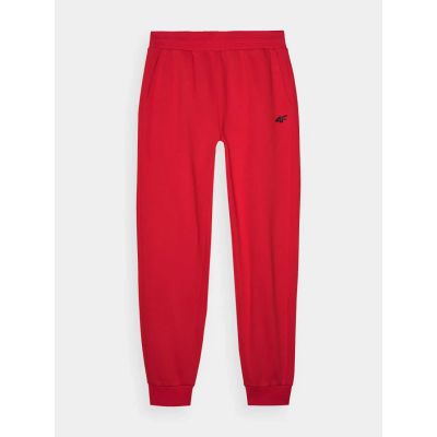 10. Jogginghose 4F M 4FWMM00TTROM0943-70S