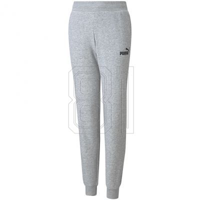 Puma ESS Sweatpants TR Jr 587037 04