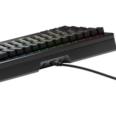 5. Glorious Gaming GLO-KB-GMMK3-PRO-65-PB-FOX-W-BLK-US-Tastatur