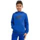13. 4F Jr Sweatshirt 4FJSS23TSWSM220 36S