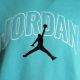 4. Air Jordan Brooklyn Fleece-Hoodie für Herren in Türkis - IB7241-392