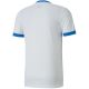 3. Puma teamGOAL 23 Trikot M 704171 12