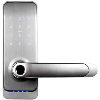 Türgriff mit Zutrittskontrollsystem EURA ELH-01H4 silber