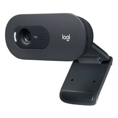 LOGITECH C505E HD Webcam Schwarz