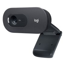 LOGITECH C505E HD Webcam Schwarz