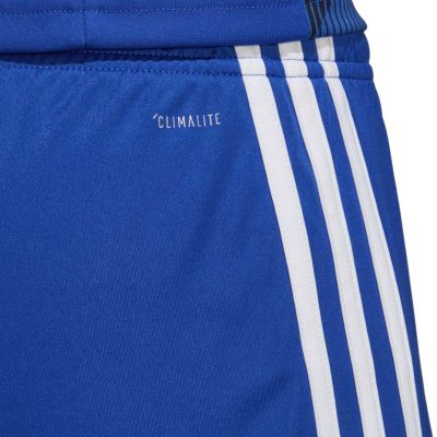 7. adidas Tastigo 19 Shorts M DP3682