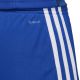 7. adidas Tastigo 19 Shorts M DP3682