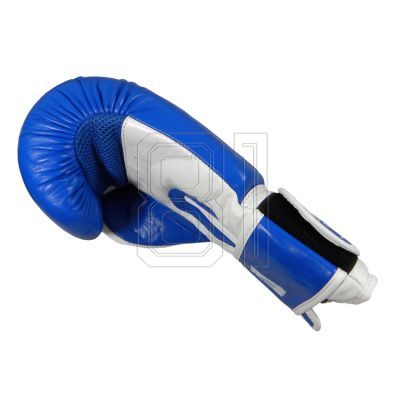 9. MASTERS RBT-TRW 01210-02 Leder-Boxhandschuhe