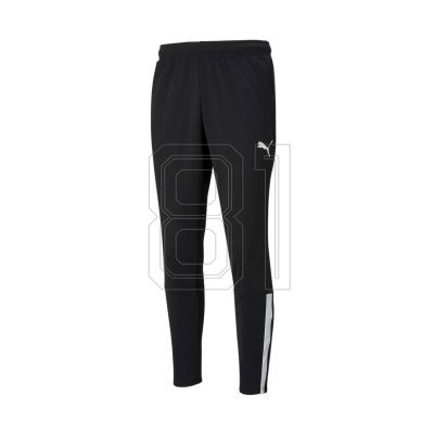 Puma teamLiga Training M 657242-03 Hose