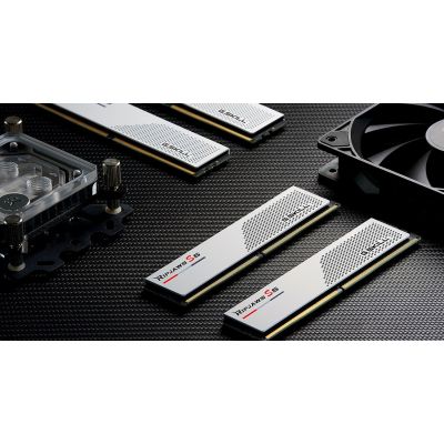 4. G.Skill Ripjaws S5/F5-5600J3636D32GX2-RS5W Speichermodul 64 GB (2 x 32 GB DDR5 288-Pin DIMM)