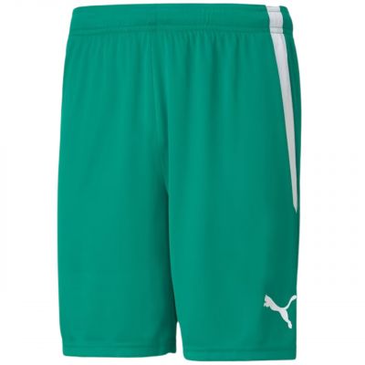 Puma teamLiga M 704924 05 Shorts