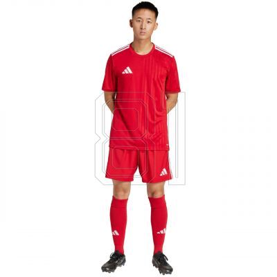 7. adidas Tastigo 25 M JN7157 Shorts