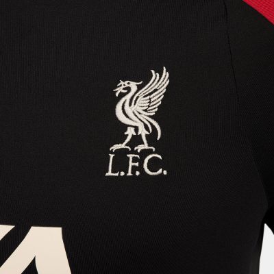 6. Nike Liverpool FC Strike Drill Top M FN9819-013 Sweatshirt