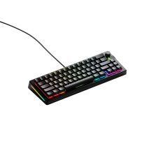 Glorious Gaming GLO-KB-GMMK3-PRO-65-PB-FOX-W-BLK-US-Tastatur