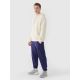 3. Herren Jogger Sweatpants 4F 4FWMM00TTROM1139-31S