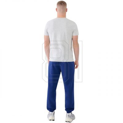 3. Trousers 4F Cas M1139 M 4FWMM00TTROM1139 031S