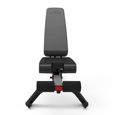 10. Bowflex 3.1S 100917 Trainingsbank