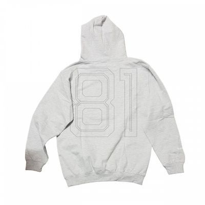 3. Mitchell & Ness Team Logo Hoody Green Bay Pacers M HDSSINTL1052-GBPGREY