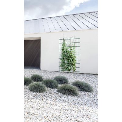 3. Bodenstützen Pflanzenstütze 60x120cm Waldgrün