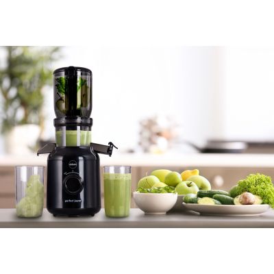 26. ELDOM Slow Juicer PJ350 250 W Schwarz Zwei Filter Neue Generation Schwerlastpresse