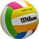 2. WILSON PRO TOUR VB MEHRFARBIGER VOLLEYBALL