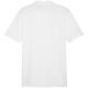 5. Puma Team Goal Casuals Poloshirt M 658605 04