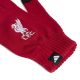 2. adidas Liverpool FC JZ5880 Handschuhe