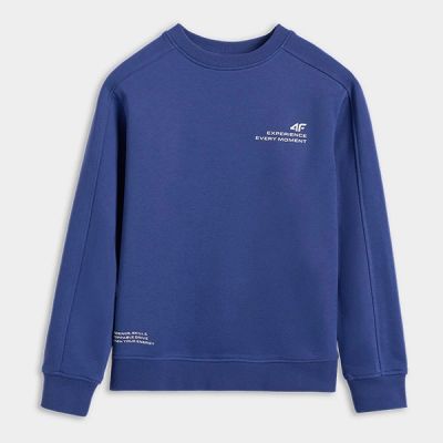 Jungen-Sweatshirt ohne Reißverschluss und Kapuze 4F 4FJRAW25TSWSM2413-31S