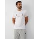 Slim-Fit Herren-T-Shirt mit Aufdruck 4F 4FRAW26TTSHM4666-10S