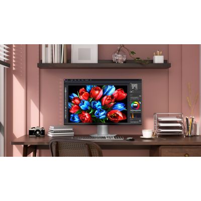 2. TCL-Monitor (25G54)