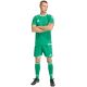 6. adidas Tiro 26 Competition Match Day Shorts für Herren, Grün, KA6175