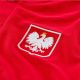 5. Nike Polen Grand Slam M T-Shirt CK9205-688