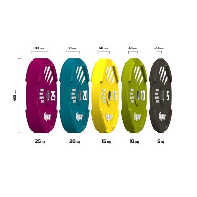 4. tiguar farbige Bumper-Hantelscheibe aus Gummi 25 kg