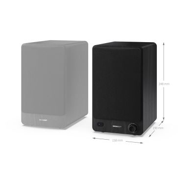 8. Sharp Regallautsprecher, 2-Wege, Schwarz, kabelgebunden und kabellos, 60 W