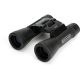 2. Celestron UpClose G2 16x32 Fernglas 50234712347