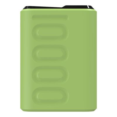 4. RealPower PB-10000C PD+ 10000 mAh Hellgrün