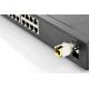 2. Digitus Kupfer-SFP-Modul 1,25 Gigabyte, RJ45