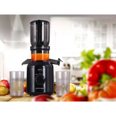 34. ELDOM Slow Juicer PJ350 250 W Schwarz Zwei Filter Neue Generation Schwerlastpresse