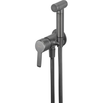 Verdeckter Bidet-Wasserhahn mit Bidet-Duschkopf