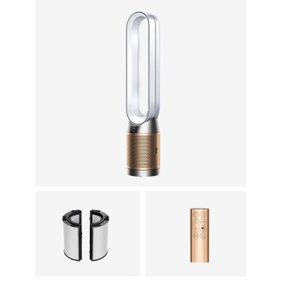 2. DYSON Purifier Cool PC2 De-No Luftreiniger