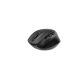 3. GEMBIRD Kabellose, ergonomische Tri-Mode-Maus (2,4 GHz + Bluetooth + USB), 2400 DPI, 9 Tasten, Schwarz