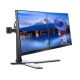 16. Iiyama DS1002D-B1 Halterung - Stativ mit verstellbarem Arm