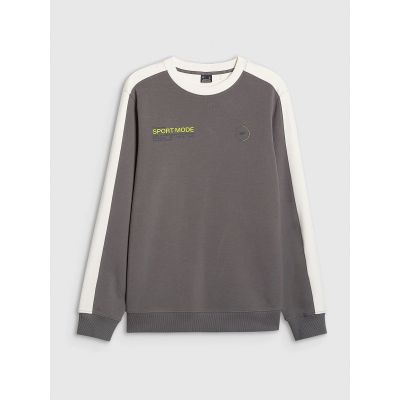 9. Herren-Sweatshirt ohne Reißverschluss, ohne Kapuze, 4F 4FRAW25TSWSM2457-23S