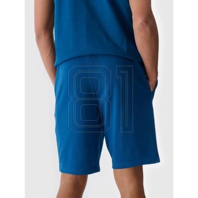 3. Shorts 4F M 4FWMM00TSHOM543-46S