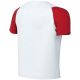 2. Nike Dri-Fit Academy II Kinder-T-Shirt Weiß und Rot HV8168 102