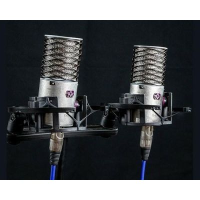 Aston Microphones Origin Stereopaar Kondensatormikrofone