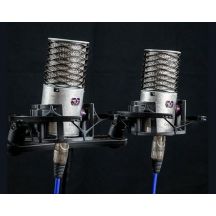 Aston Microphones Origin Stereopaar Kondensatormikrofone