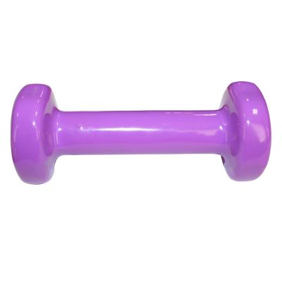 12. 17023 GUSSEISENGEWICHT MIT VINYLBESCHICHTUNG 0,75 KG