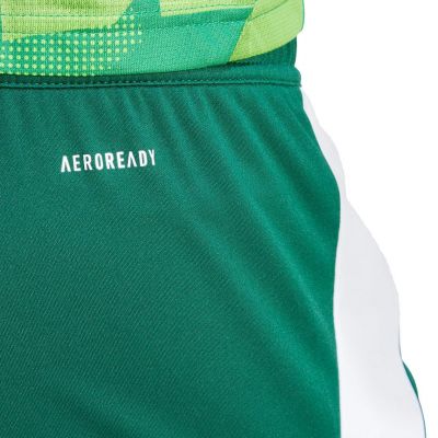 5. adidas Tiro 24 M IS1410 Shorts