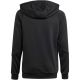 7. Adidas Tiro 24 Training Hoodie Jr IJ9960 Sweatshirt